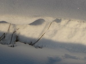 Het Geschenk van Kerstmis