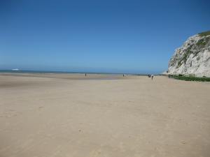 Natuurlijke ordening