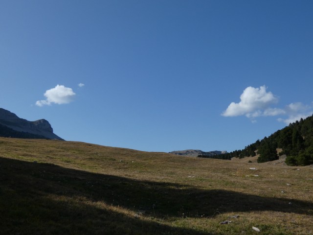 UNADJUSTEDNONRAW_thumb_4202