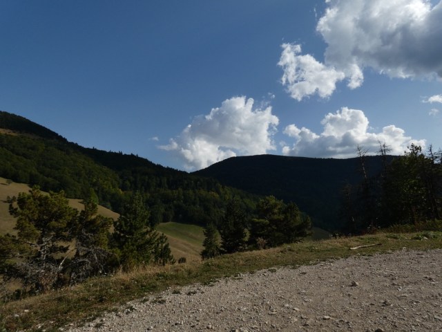 UNADJUSTEDNONRAW_thumb_4204