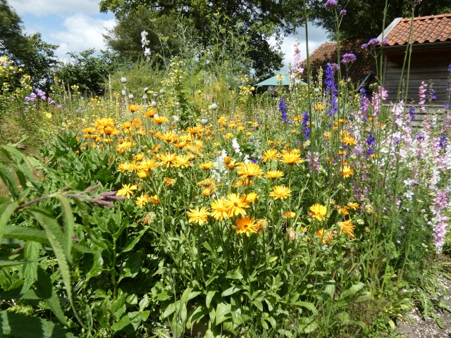 Bloemenpracht Wonderwandeling