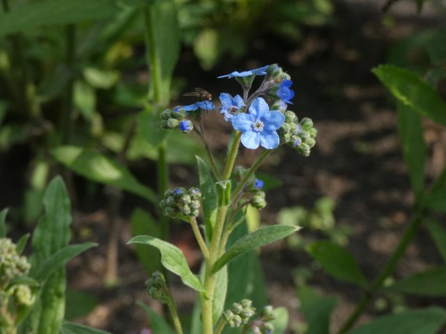 246D3A17-3D20-49C5-B697-6EDA86765DD7