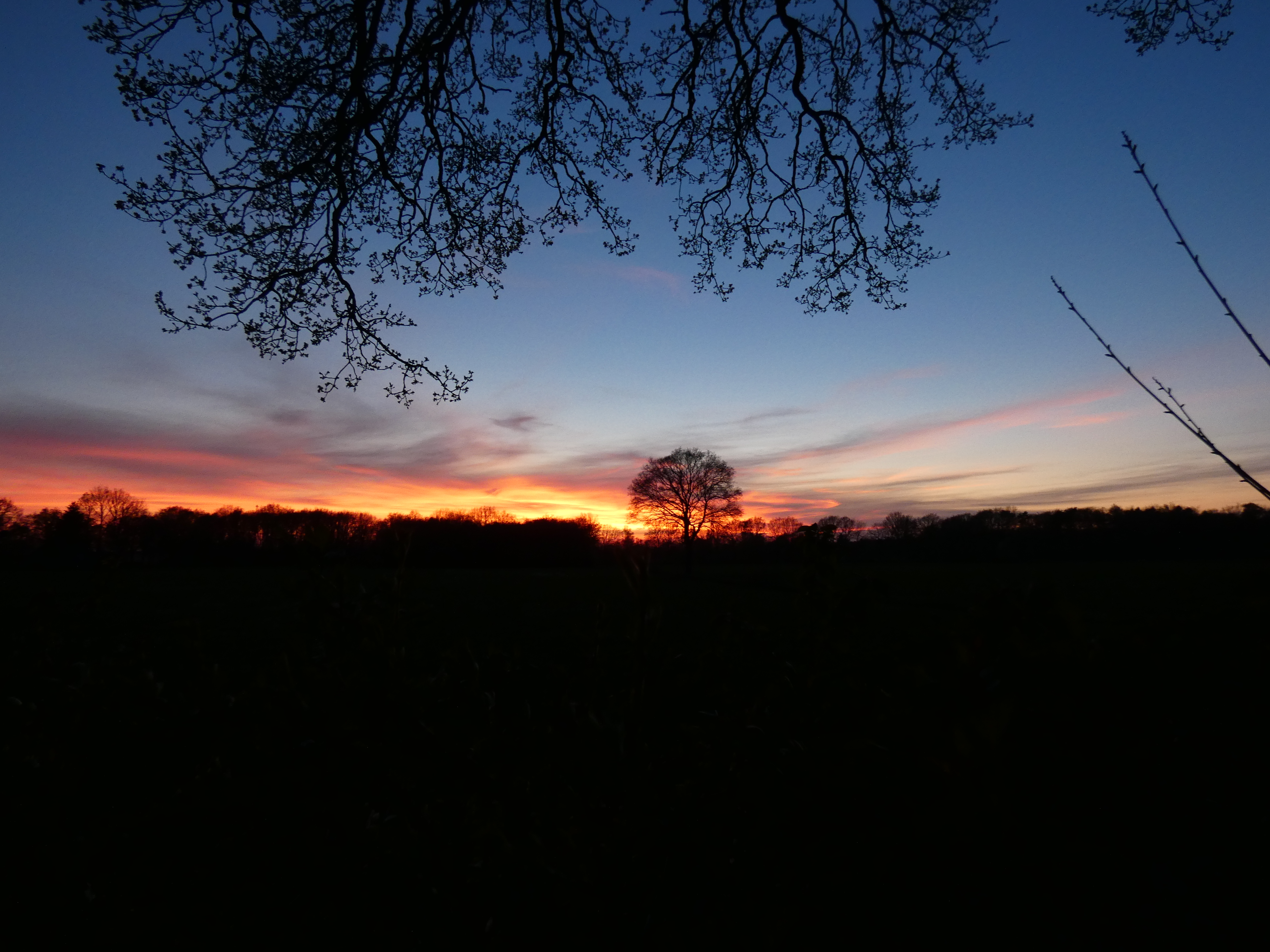 3EF986BA-523E-4499-A76F-1FBAF8AB29CF