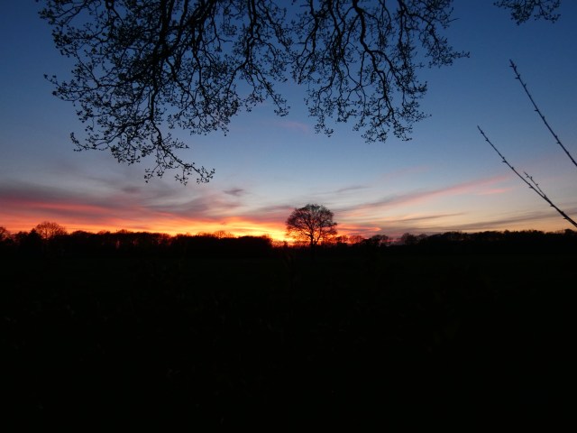 3EF986BA-523E-4499-A76F-1FBAF8AB29CF