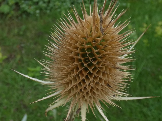 C2CC5248-968B-4807-9038-BAD3495CD303