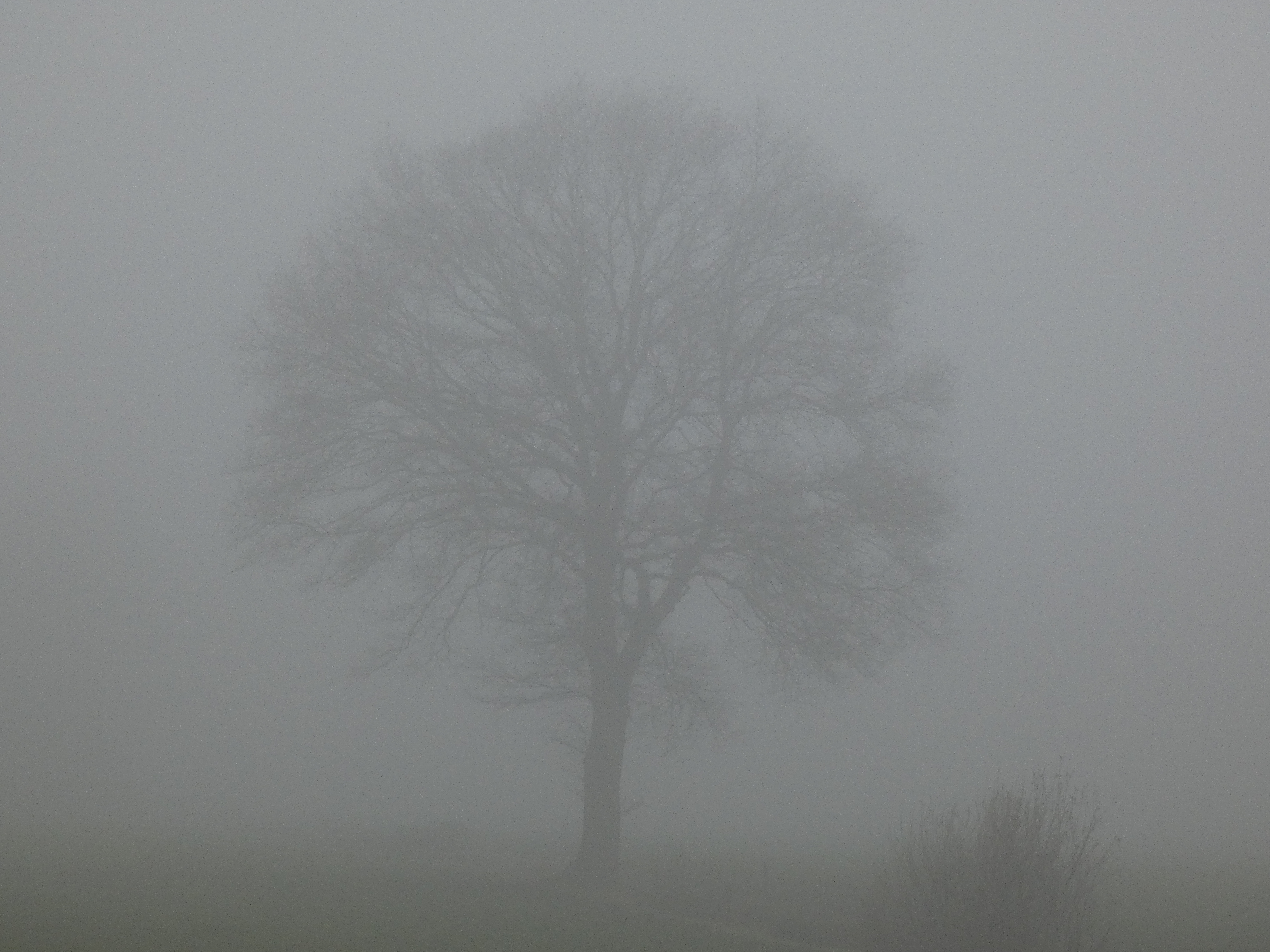 9B633037-9BF1-42C9-9BCC-FC2C4BFBEA6C