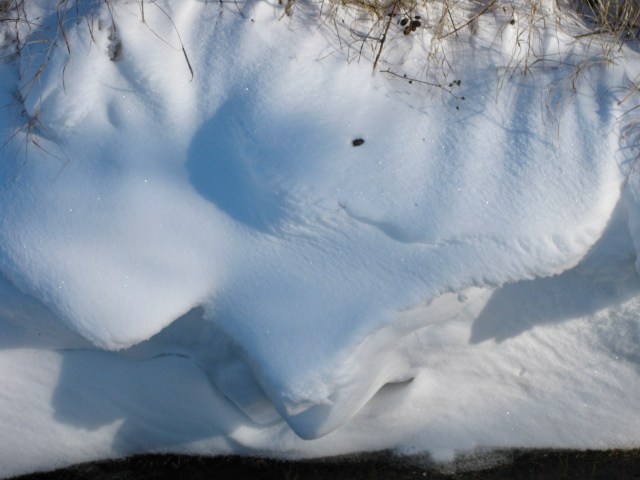 6D959AD2-2541-45E4-90BF-EBAE66541325_1_201_a