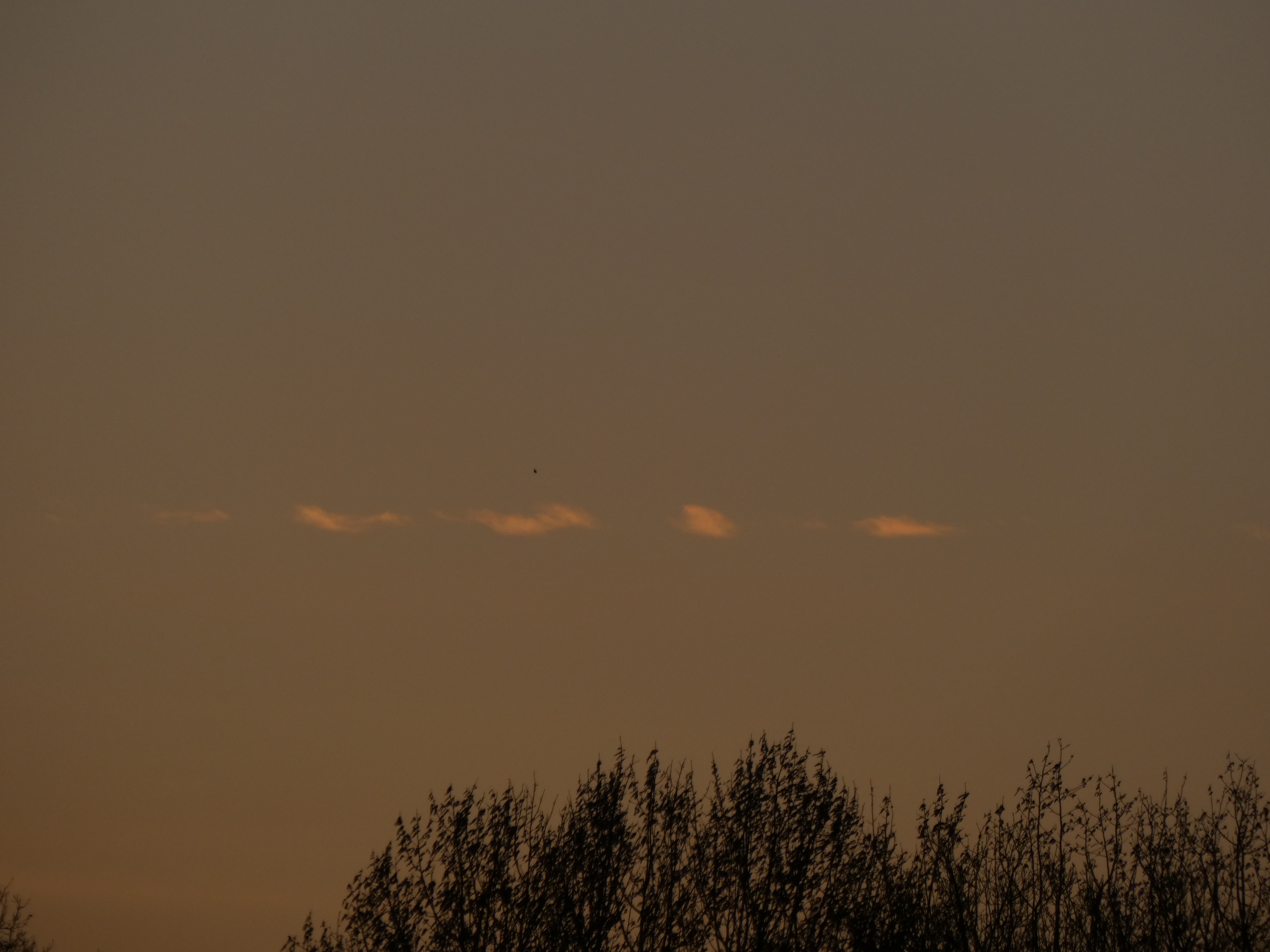 0024FB10-A19D-4485-9FCC-A572ACD550CD