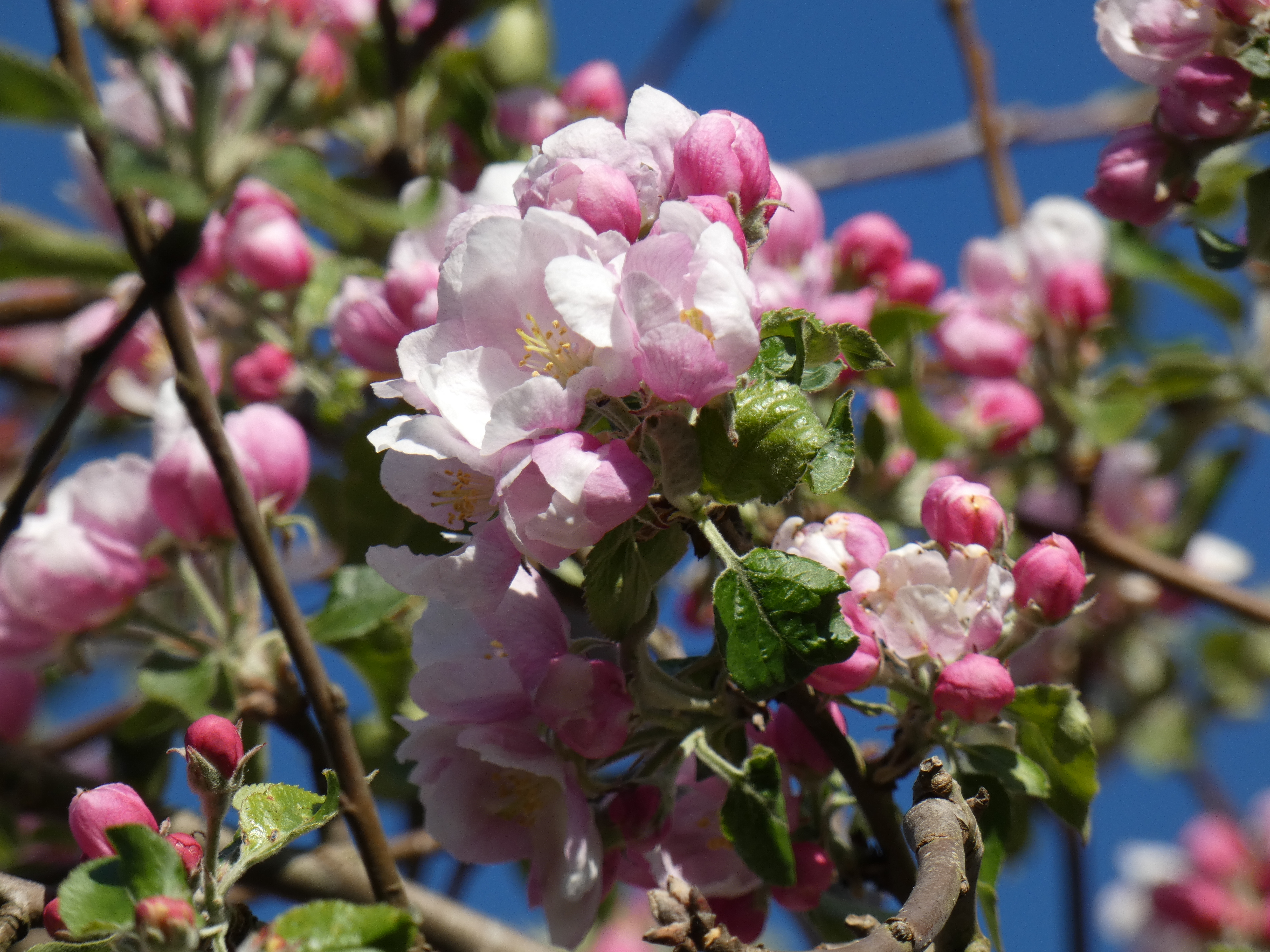 CF7240ED-7839-4E62-854D-B8A06196E7B0