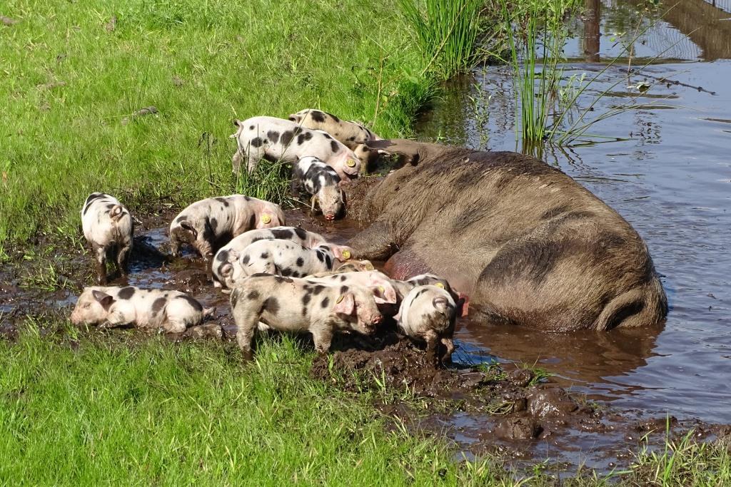 01CE2C56-AD2C-473C-932D-F9CDB5A8050B