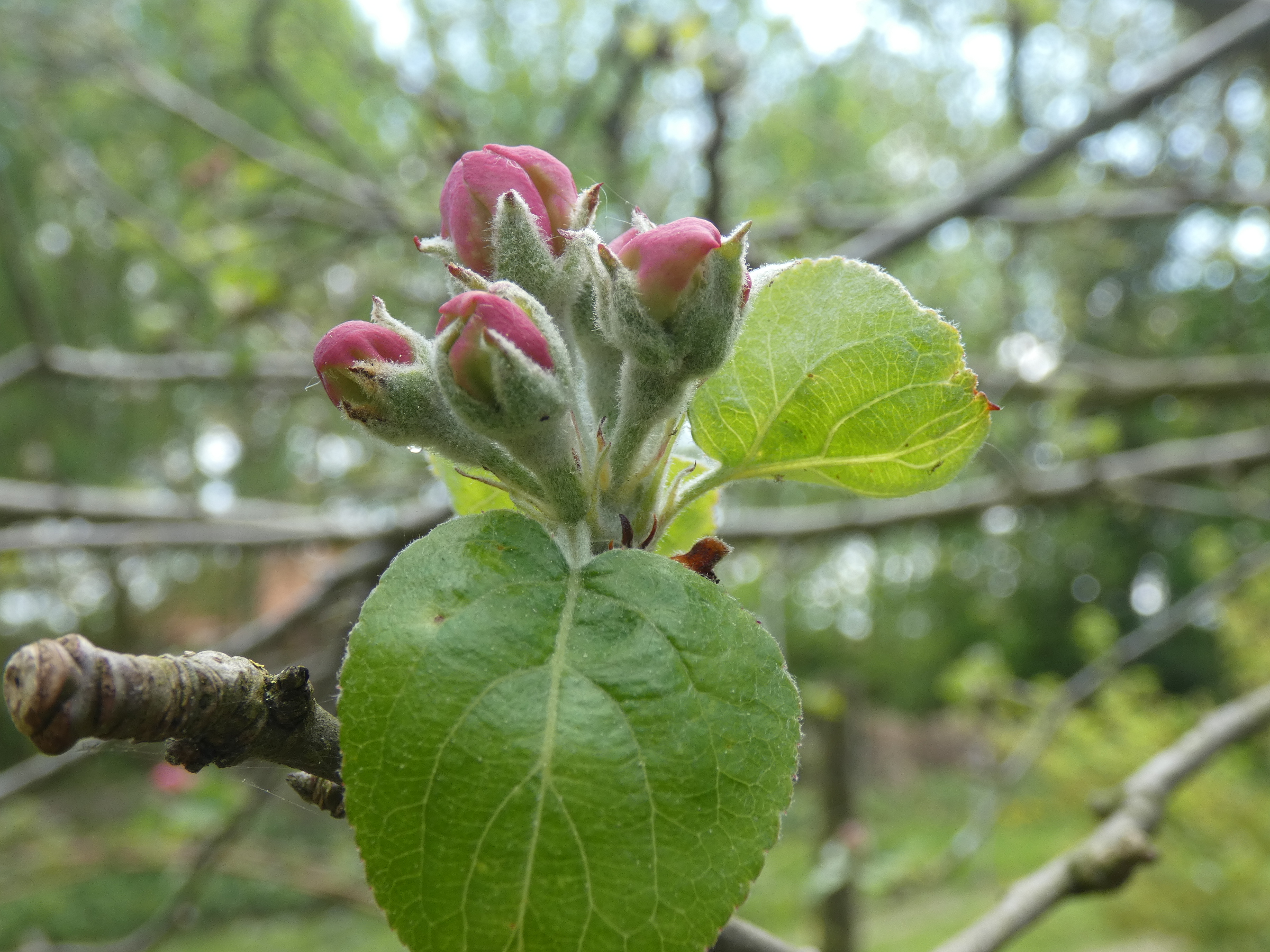 32A4959B-0AF4-4634-A4B3-FF1BF6894764