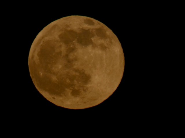 B5841D9A-67CB-4314-9B76-76A169ABE763_1_201_a