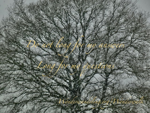 E15AB27B-63DF-4A06-A79A-9BB891B30ABF_1_201_a