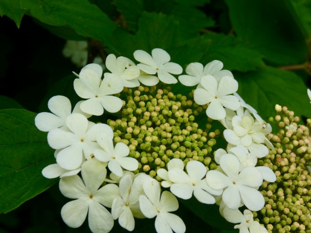 E216AA02-C598-471F-9E3C-C50D29271987_1_201_a