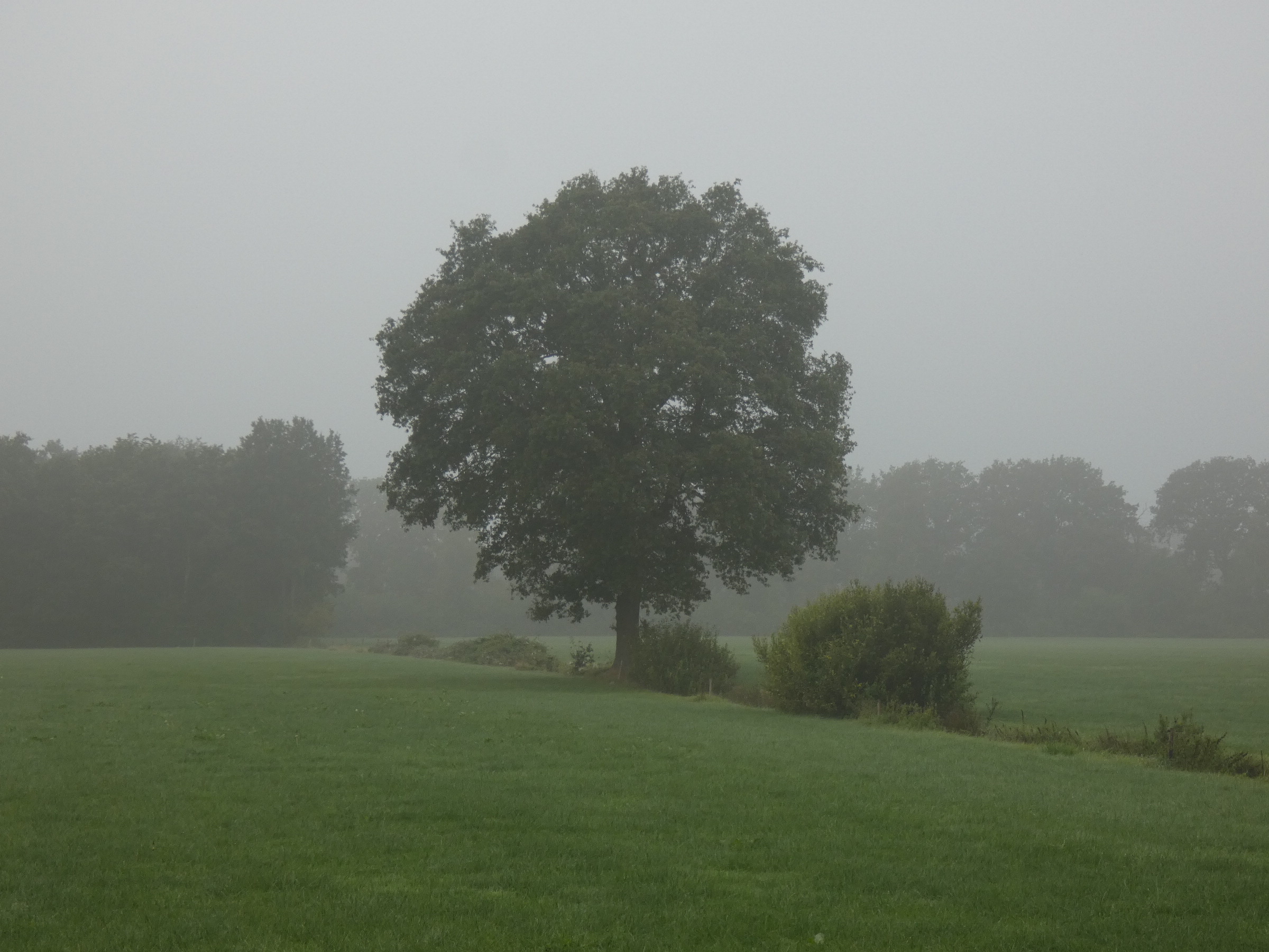 09DA40B1-19EF-4698-A142-248EDA16948A