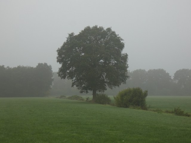 09DA40B1-19EF-4698-A142-248EDA16948A