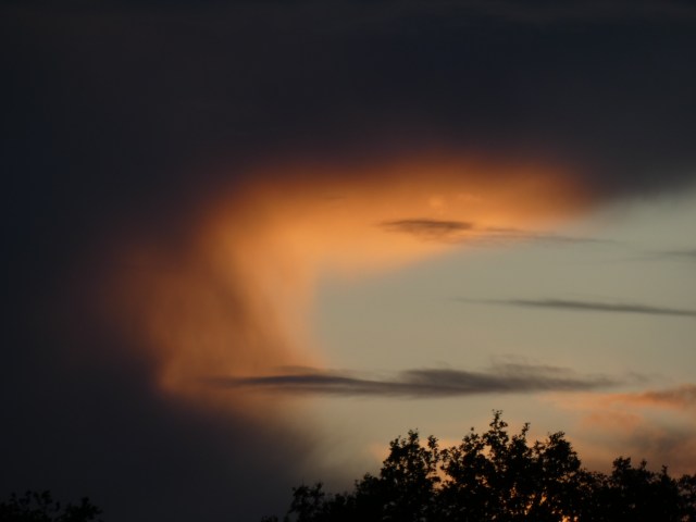 361846A4-9CE9-442B-A5AE-CC6B760AC994