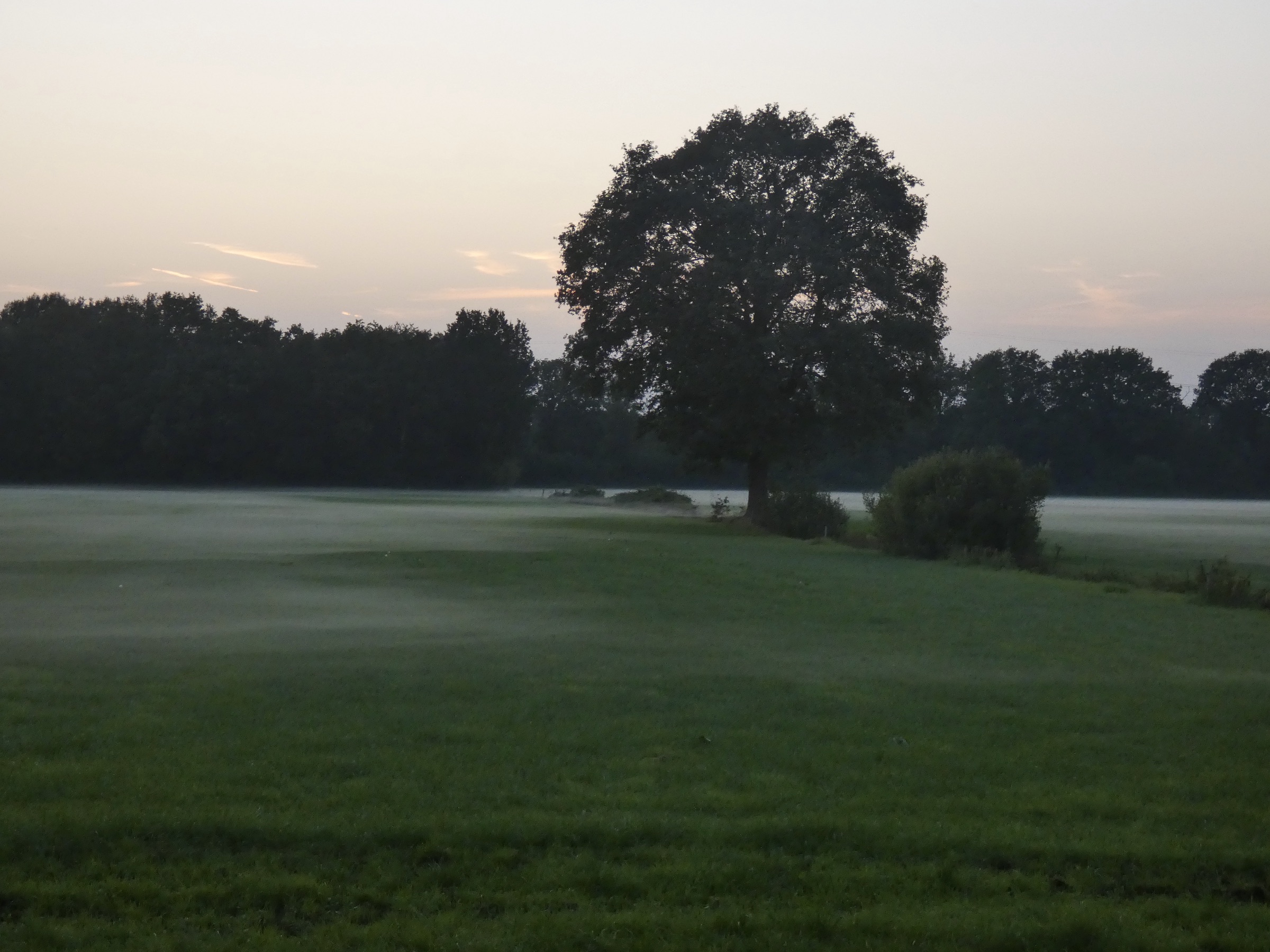 83B92820-C533-4B80-A19A-47655D810CEF_1_201_a