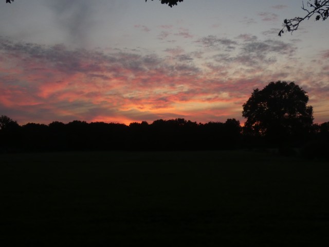 9B5657C1-E99B-4F67-97A8-2D2961C4FCF6