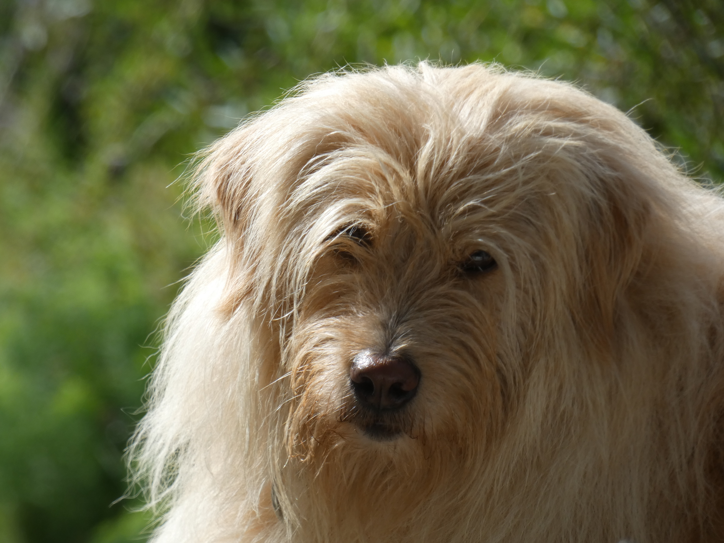 A4B22FA0-141A-4213-83EB-34DFFD9369CC