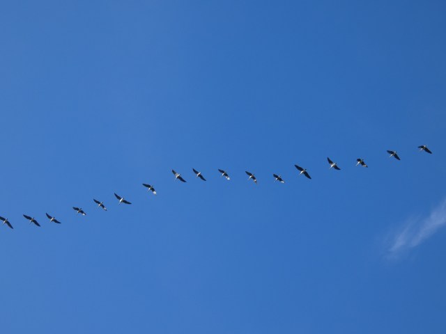 8976E9DC-244A-4780-9A54-A4EC22A10D05