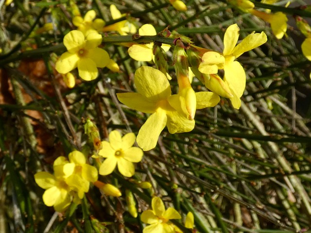 B1630B65-72E5-4341-BAEA-2DECBBFE036E_1_201_a