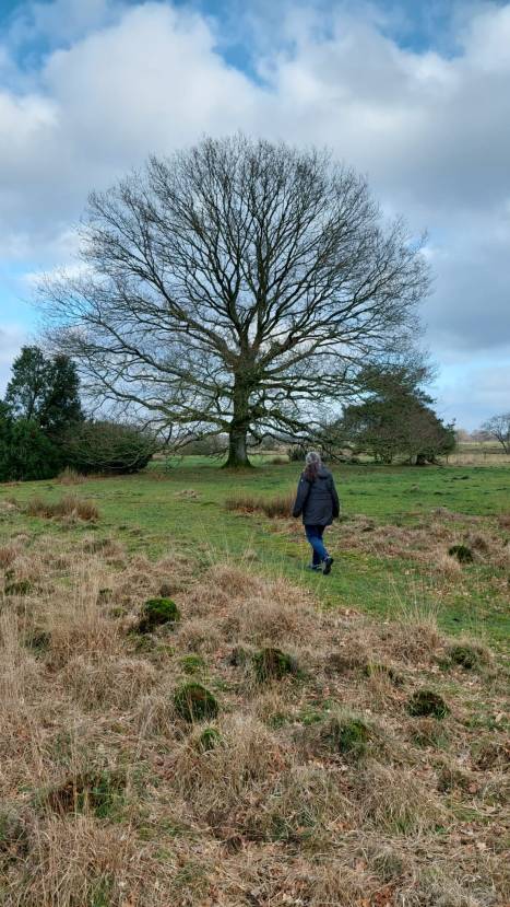 58EE6A5F-324A-4CDD-95C2-FFD5FA1BFEF0