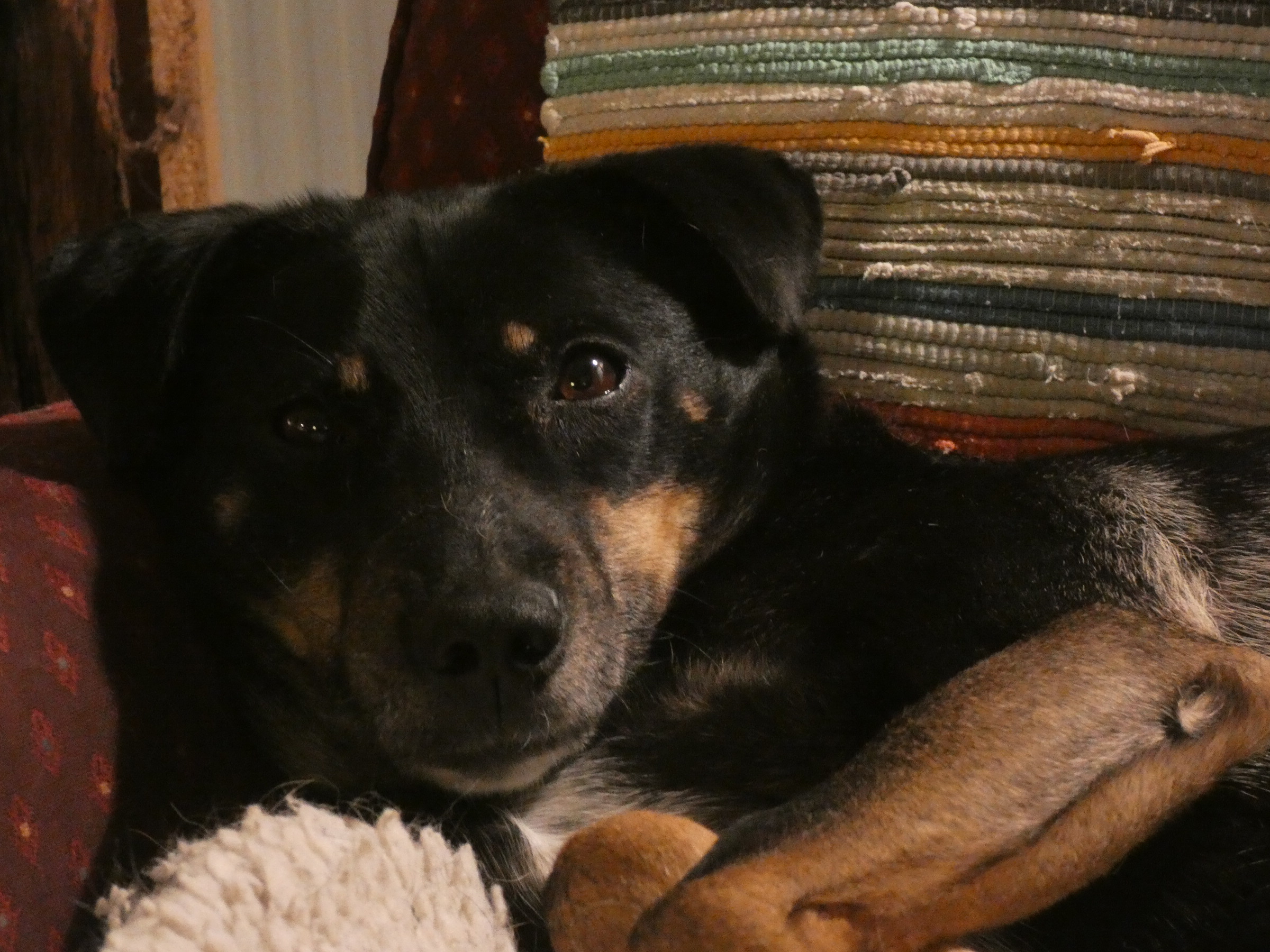 B682718E-2B8D-4268-8172-B179EDC0CE5F