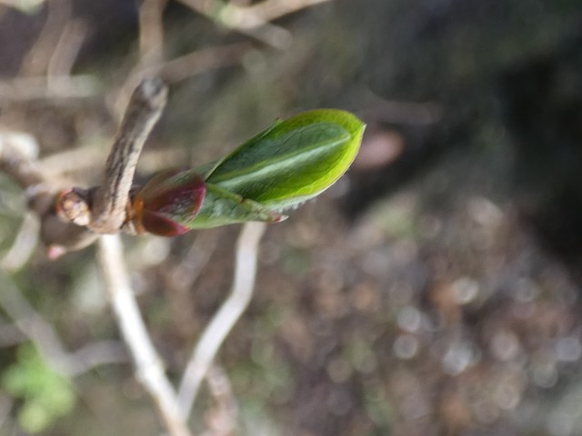 D993E5A8-74EF-4573-95B1-3A9E48BC5B64