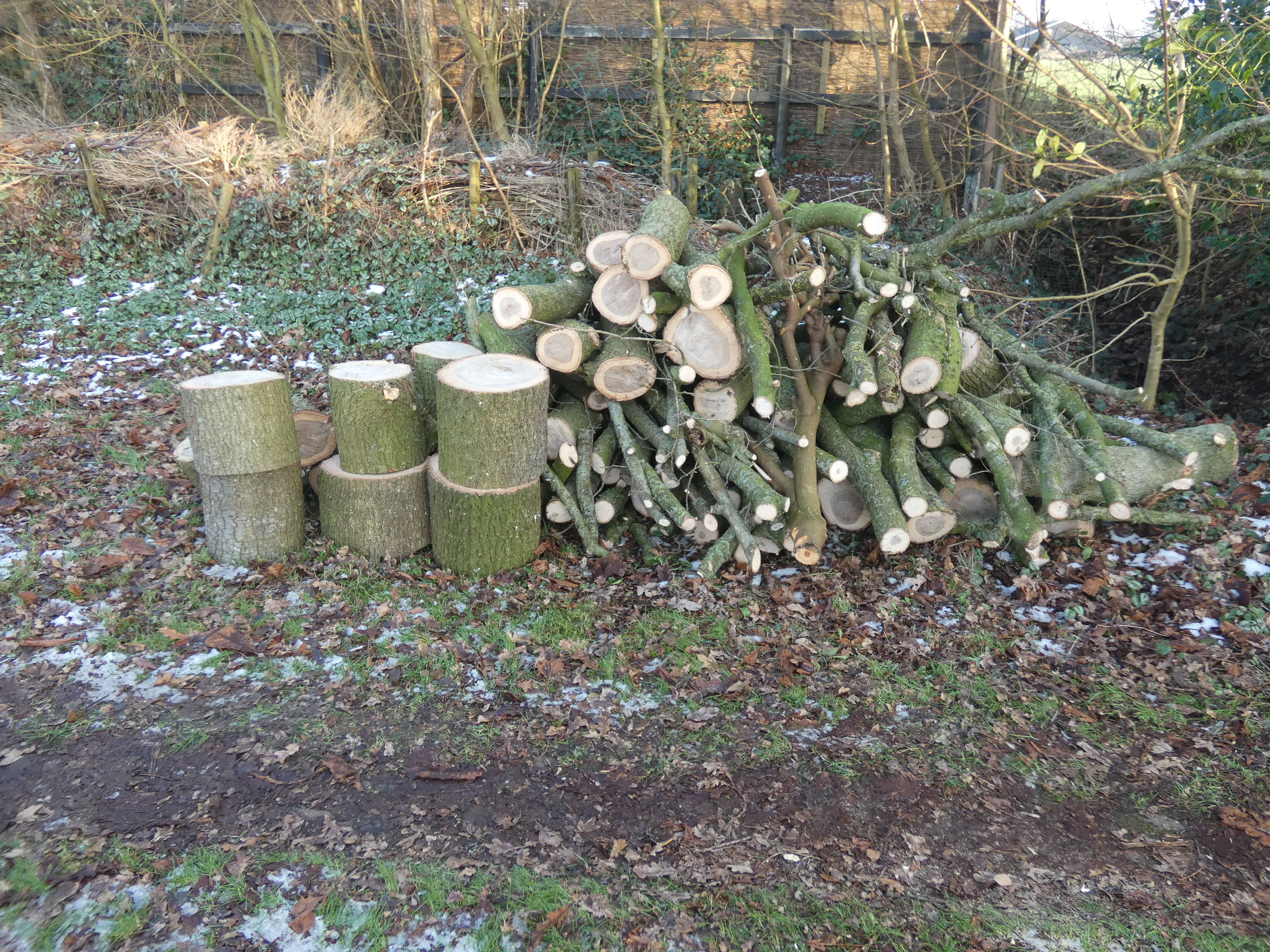 99982E8B-6AA9-4C6B-9FEC-CAAA0F67478F