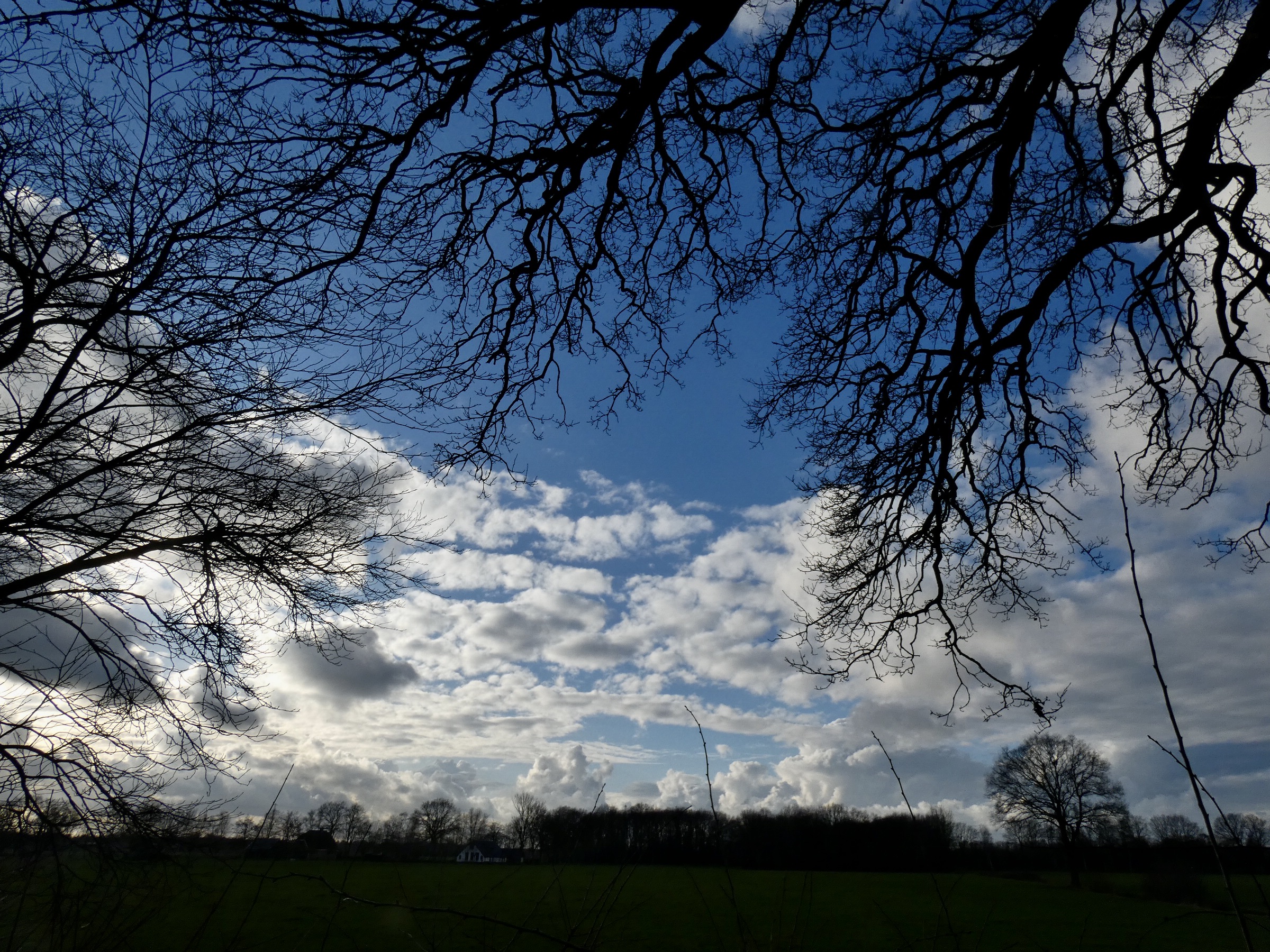 D8EAD3BD-6448-43CE-ADDA-4DFC80A9B950_1_201_a