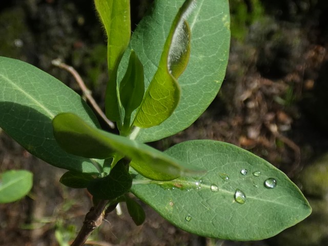 29084064-A153-46DE-9A2F-DF46C88B3D3C