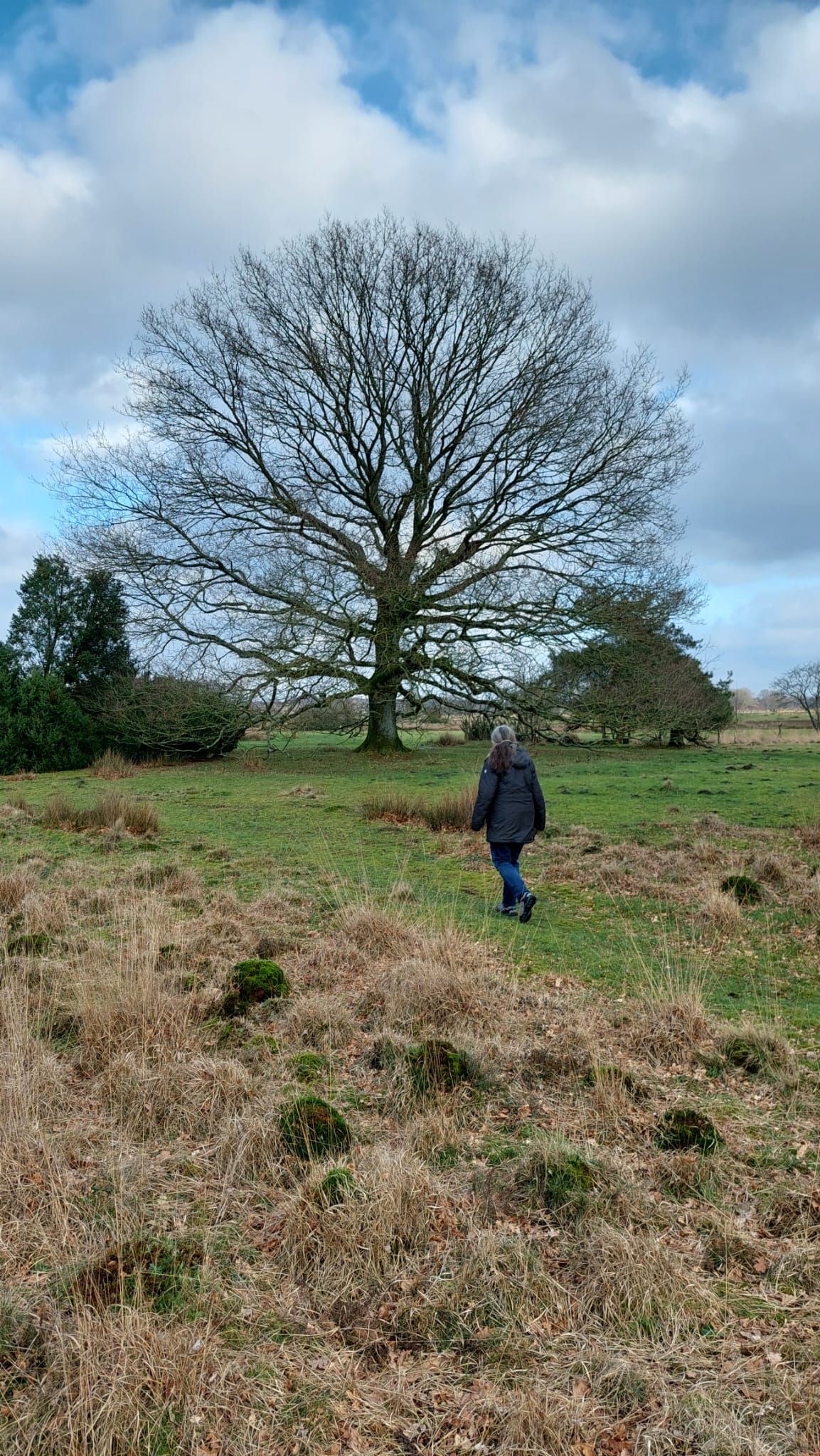 58EE6A5F-324A-4CDD-95C2-FFD5FA1BFEF0