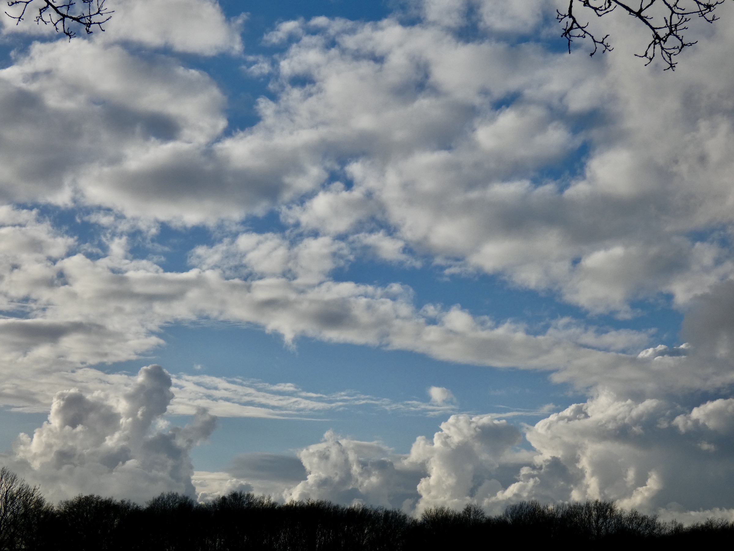 F3DA5A27-8B9F-4CD1-95B7-3C08A1704875_1_201_a