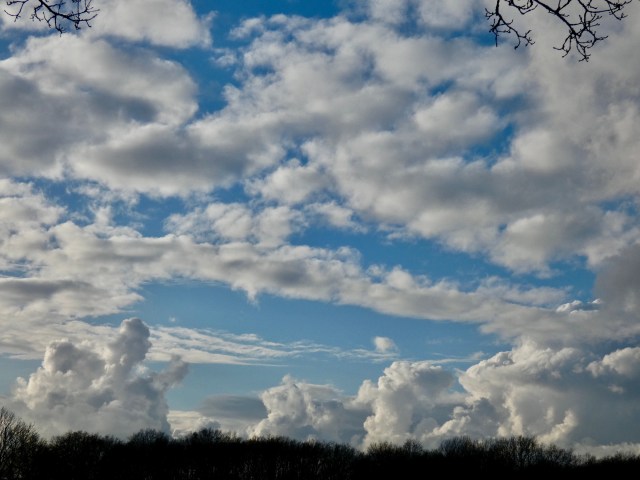 F3DA5A27-8B9F-4CD1-95B7-3C08A1704875_1_201_a