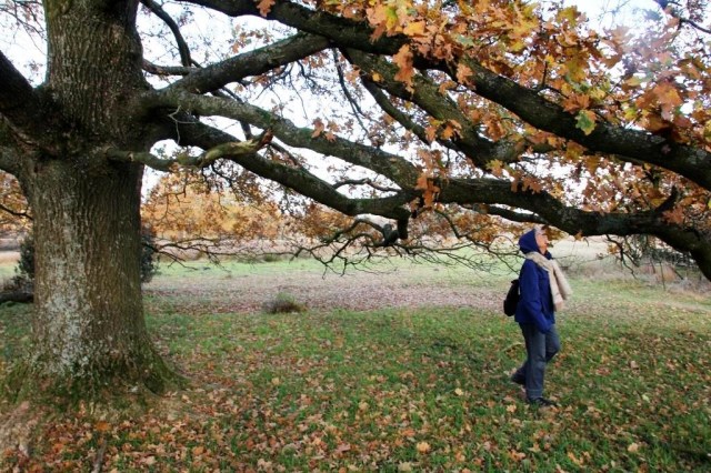 840CCF2E-7DD7-4111-83E8-44E7F822F8D5_1_105_c