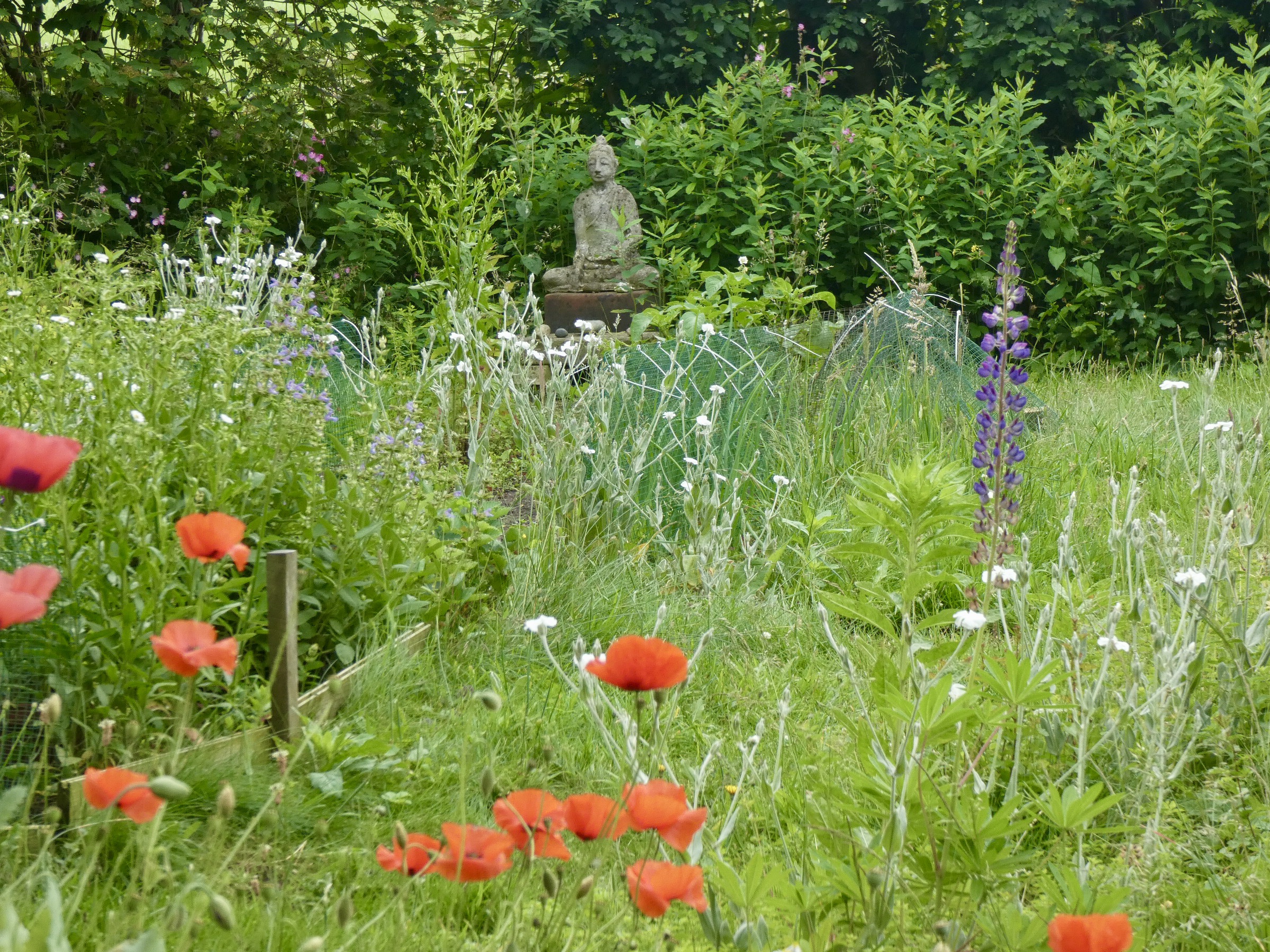 54F561DE-35A3-4DD6-89E1-F693CF9AA894_1_201_a