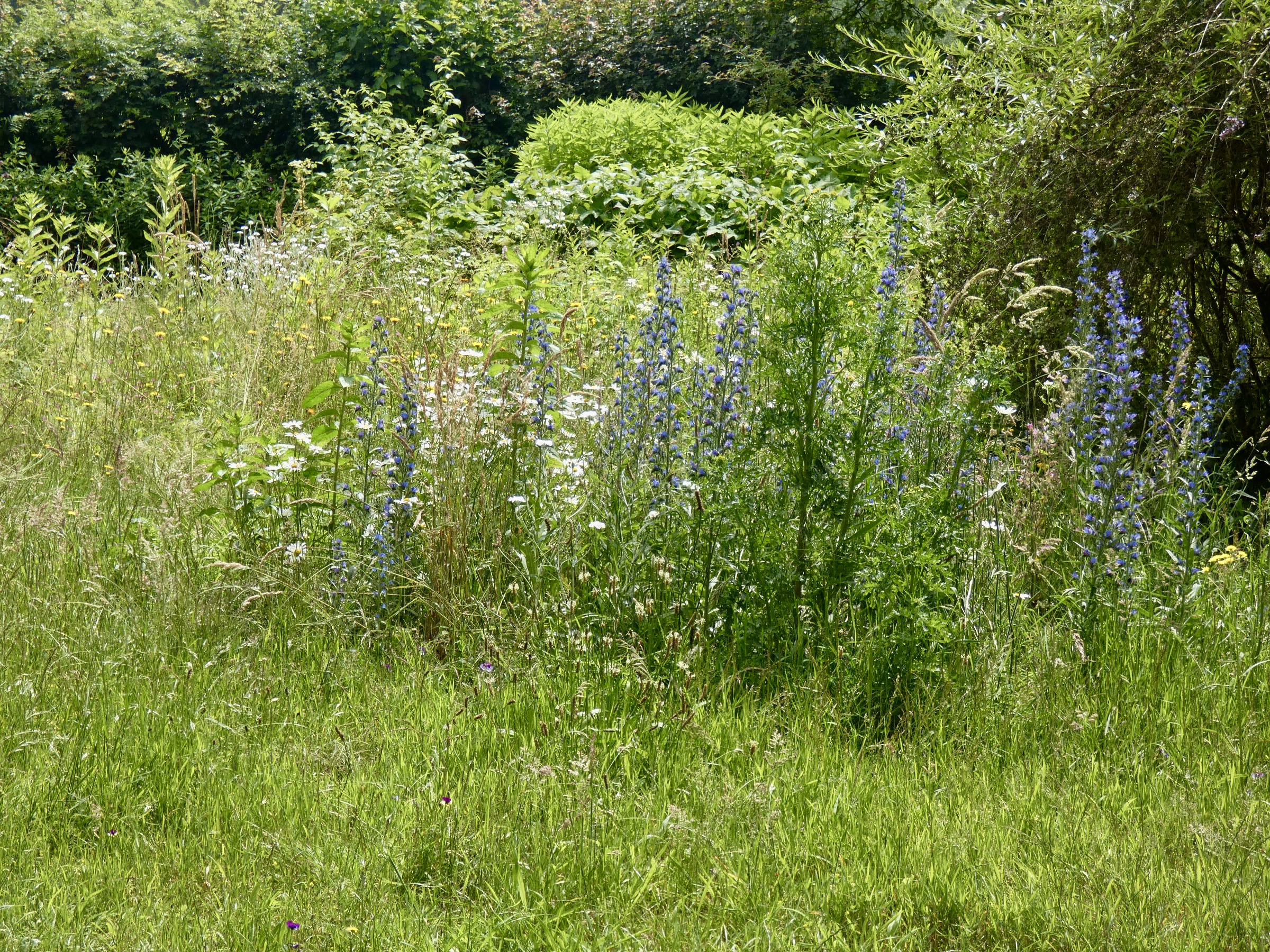 F71C7F13-6A39-43CB-BB60-885982C2CA2F_1_201_a