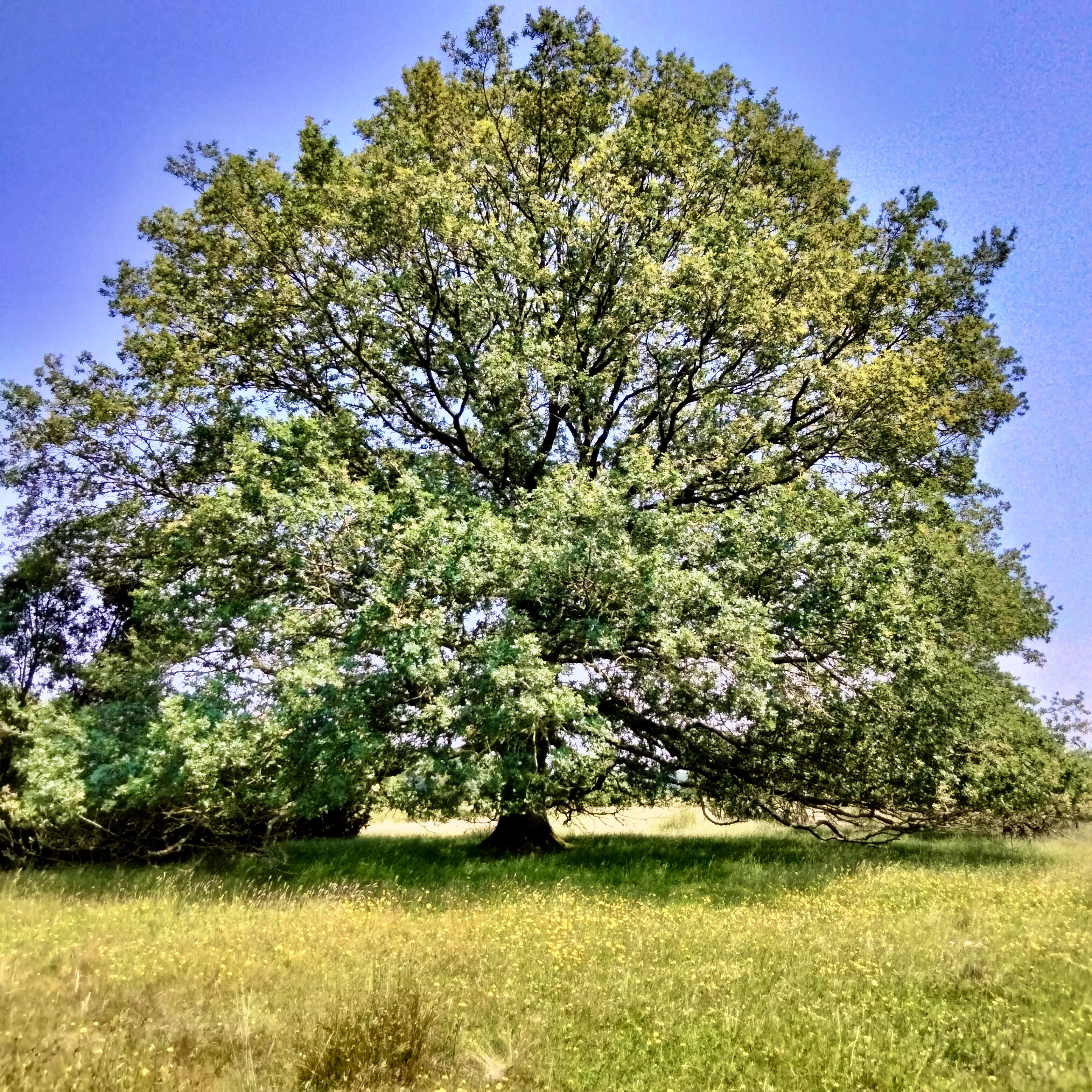 AE4FE941-29D3-4920-9AC9-DB810EA87901_1_201_a