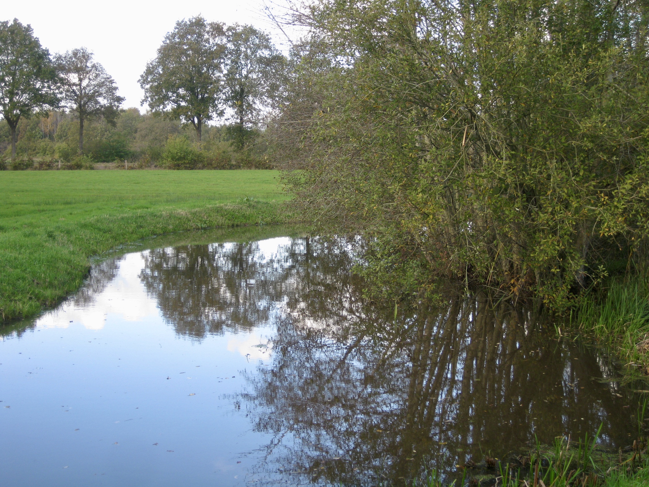 60E9310A-7A03-4DF1-87C4-1FDAAB335A98_1_201_a