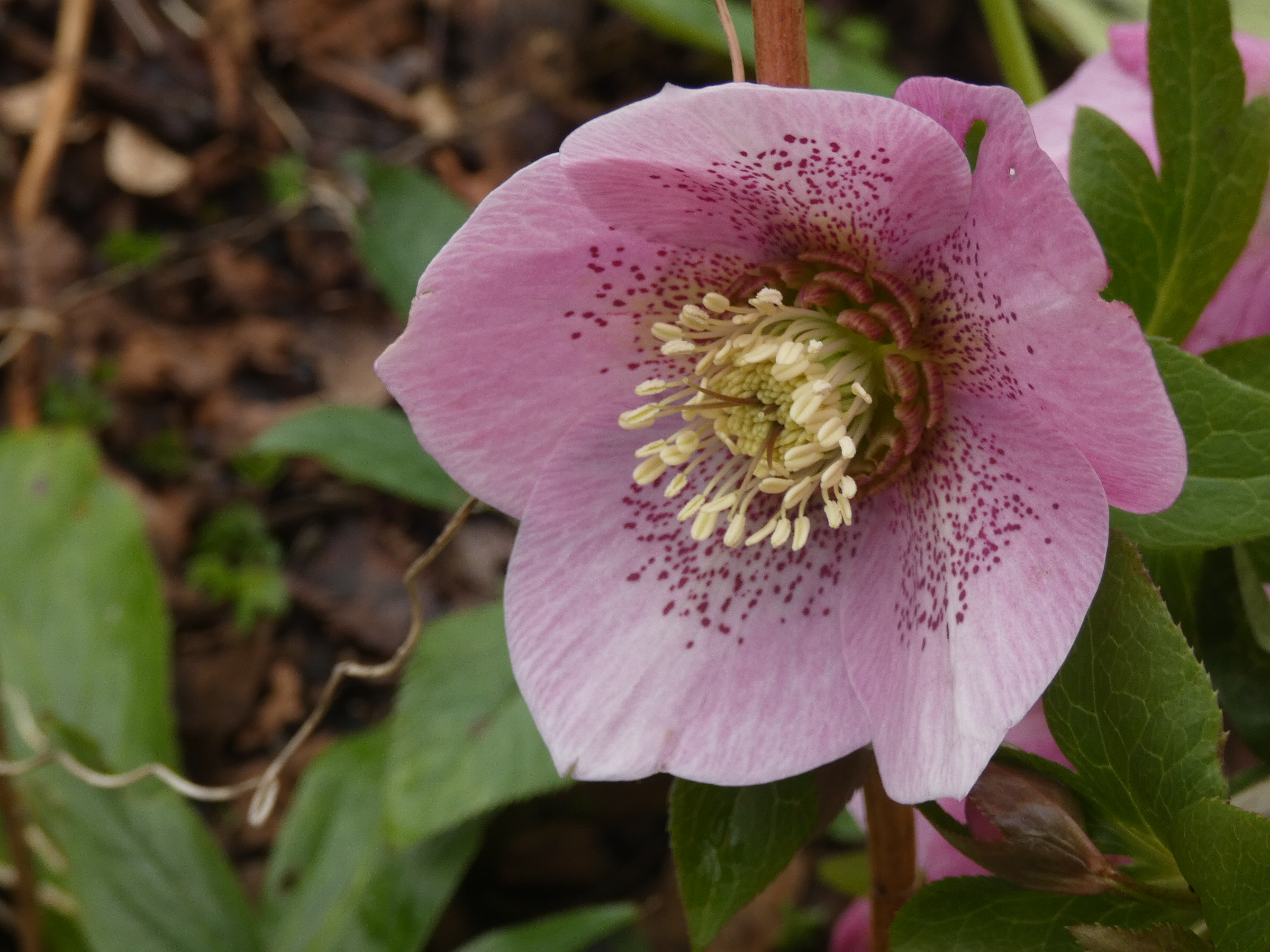 A0D693EB-C3F3-479B-AF36-ED4B855B0E05